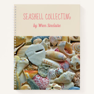 Colourful Florida Seashells Personalised Journal