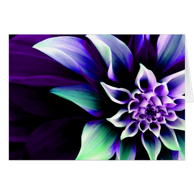 Colourful Flower 3 (Front Horizontal)