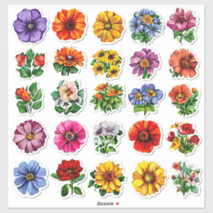 Colourful Flower Collection