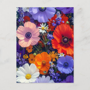 Colourful Flower Fields Postcard