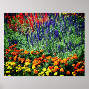 Colourful Flower Garden In Summer  Poster