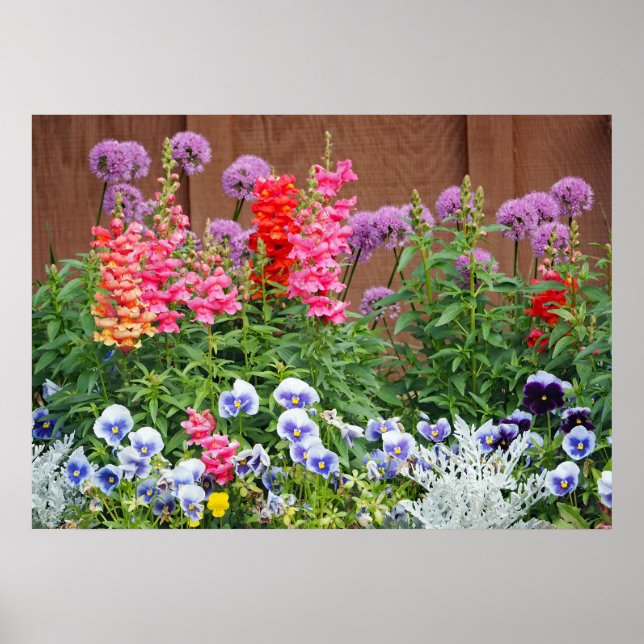 Colourful Flower Garden Photo Poster (Front)