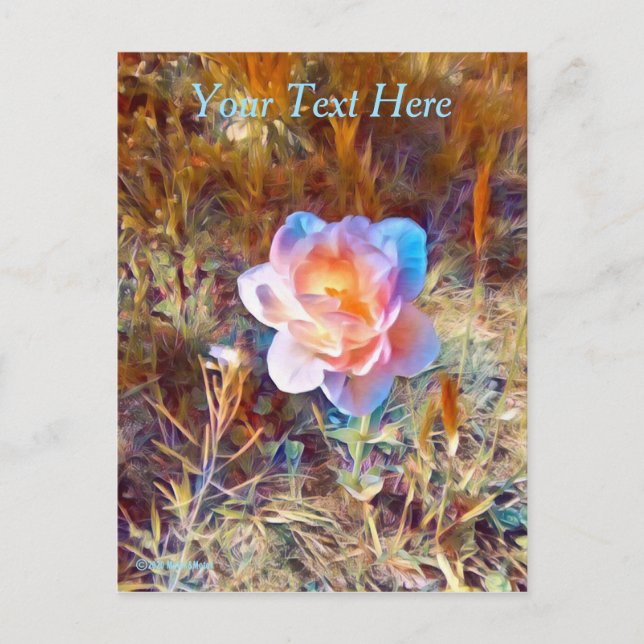 Colourful Flower Postcard (Front)