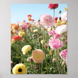 Colourful flower Print, Poster Paper (Semi-Gloss)