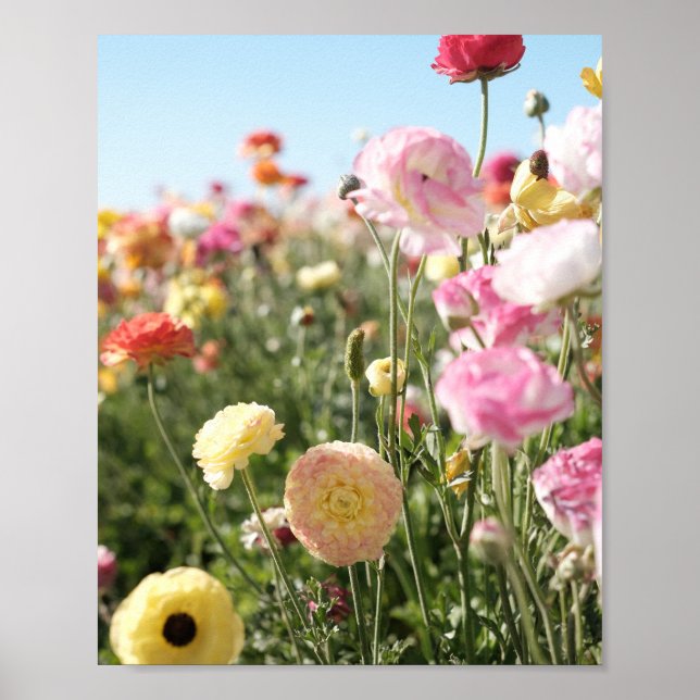 Colourful flower Print,  Poster Paper (Semi-Gloss) (Front)