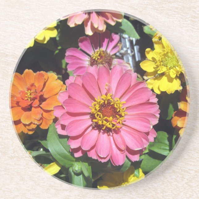 Colourful Flowers Coaster (Front)
