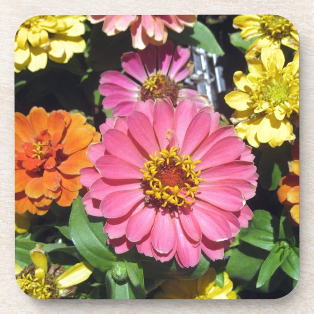Colourful Flowers Coaster (Front)