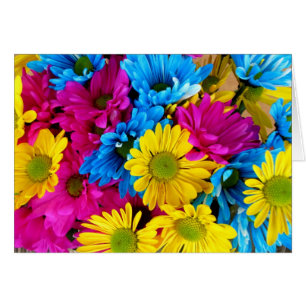 Colourful Flowers, Daisies - Blue Yellow Pink