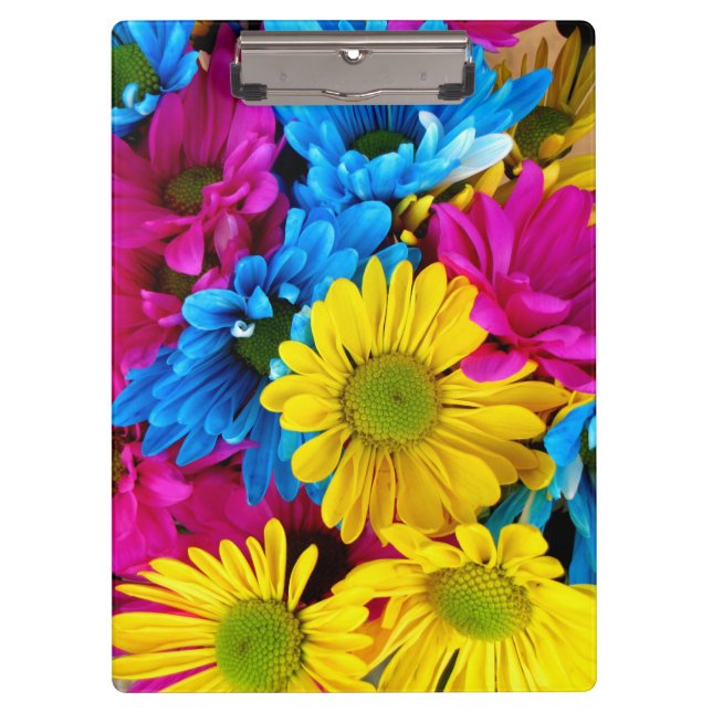 Colourful Flowers, Daisies - Blue Yellow Pink Clipboard (Front)