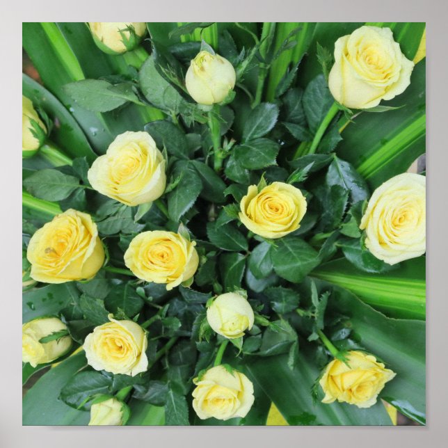 colourful+ flowers,    garden+ gnome, poster (Front)