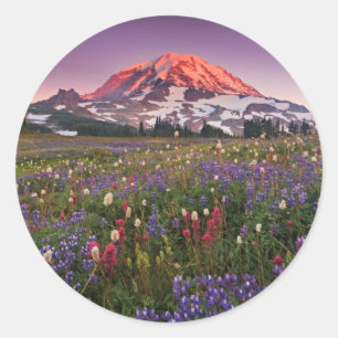 Colourful Flowers in Rainier National Park Classic Round Sticker