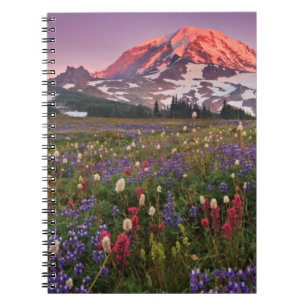 Colourful Flowers in Rainier National Park Notebook