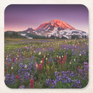 Colourful Flowers in Rainier National Park Square Paper Coaster