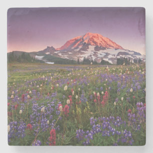 Colourful Flowers in Rainier National Park Stone Coaster