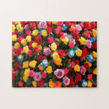colourful Flowers