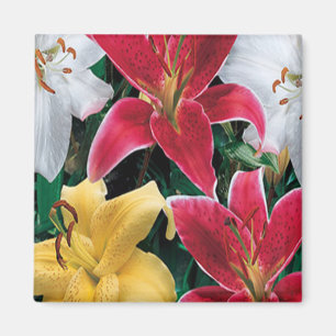 Colourful Flowers Magnet