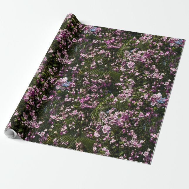 Colourful flowers Orchids in blossom Wrapping Paper (Unrolled)