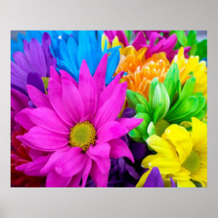 Colourful Flowers Poster