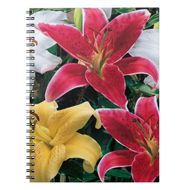 Colourful Flowers Spiral Notebook (Front)