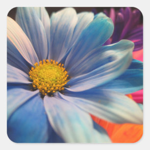 Colourful Flowers Square Sticker