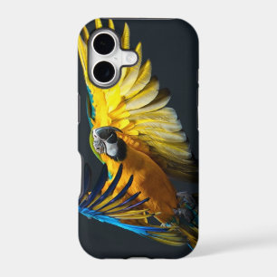 Colourful flying Ara on a dark background