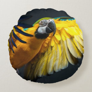 Colourful flying Ara on a dark background Round Cushion