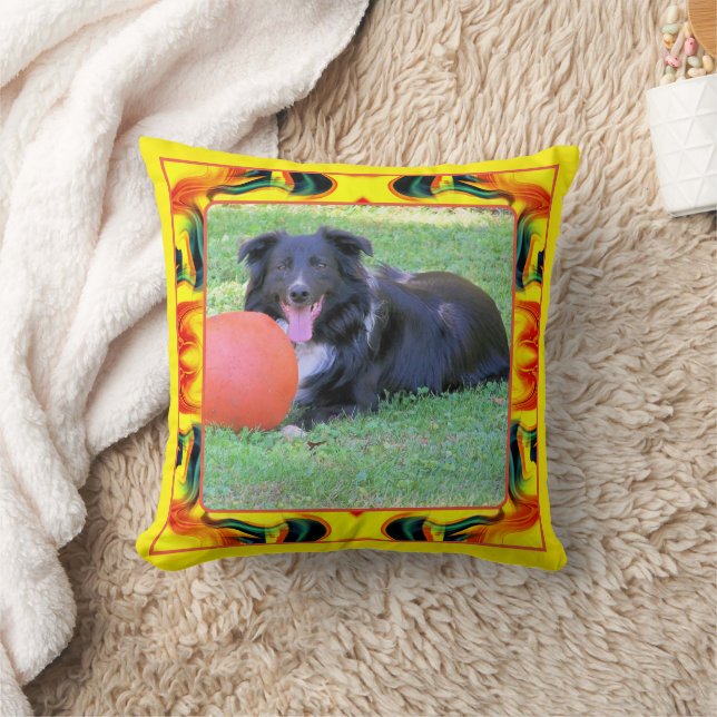 Colourful Frame Create Your Own Pet Photo  Cushion (Blanket)