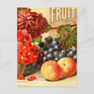 Colourful Fruit Salt Ad Postcard