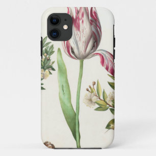 Colourful Fruits iPhone 11 Case