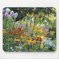 Colourful Gardens Along the Pathways