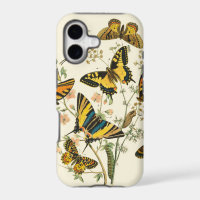 Colourful Gathering of Butterflies and Caterpillar