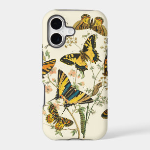Colourful Gathering of Butterflies and Caterpillar