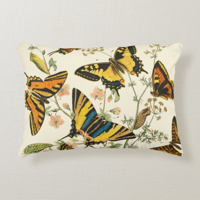 Colourful Gathering of Butterflies and Caterpillar Decorative Cushion (Front)