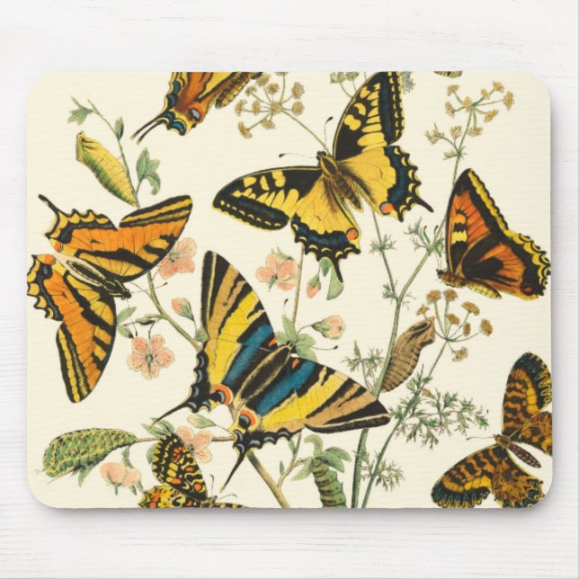 Colourful Gathering of Butterflies and Caterpillar Mouse Pad (Front)