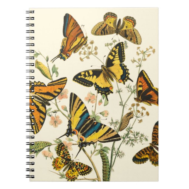 Colourful Gathering of Butterflies and Caterpillar Notebook (Front)