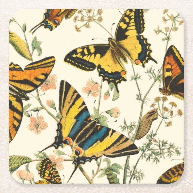 Colourful Gathering of Butterflies and Caterpillar Square Paper Coaster (Front)