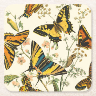 Colourful Gathering of Butterflies and Caterpillar Square Paper Coaster