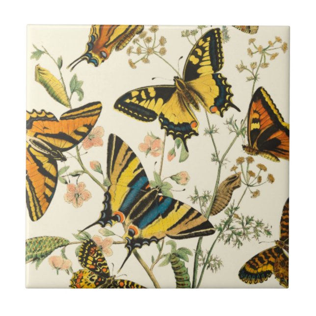 Colourful Gathering of Butterflies and Caterpillar Tile (Front)