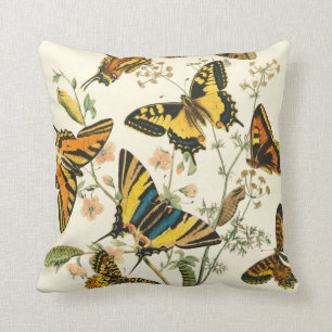Colourful Gathering of Butterflies and Cushion