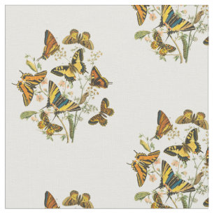 Colourful Gathering of Butterflies and Fabric