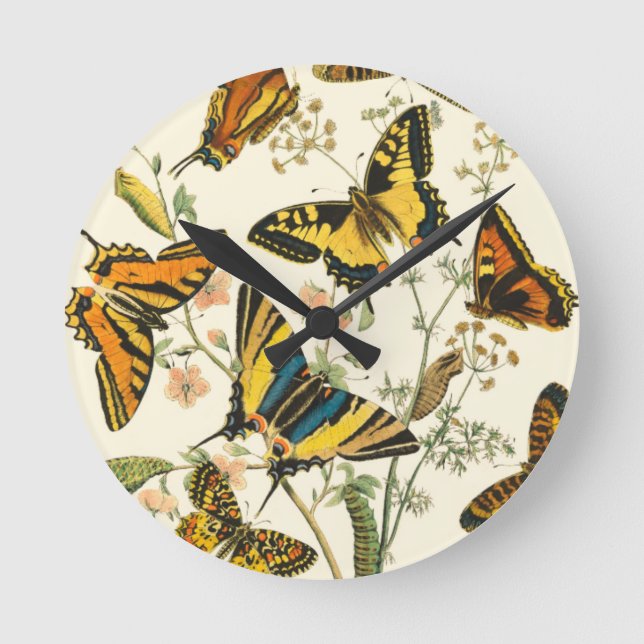 Colourful Gathering of Butterflies and Round Clock (Front)