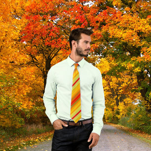 Colourful Geometric Striped Pattern Tie
