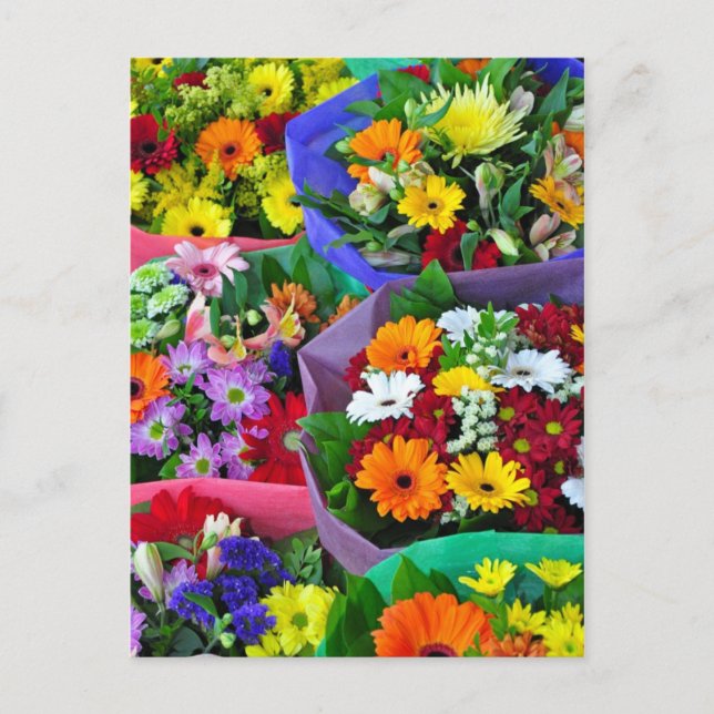 Colourful gerber flowers print postcard (Front)