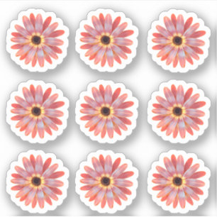  Colourful Gerbera Daisy Floral Sticker