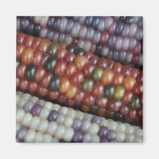 Colourful Glass Gem Corn on the Cob Magnet