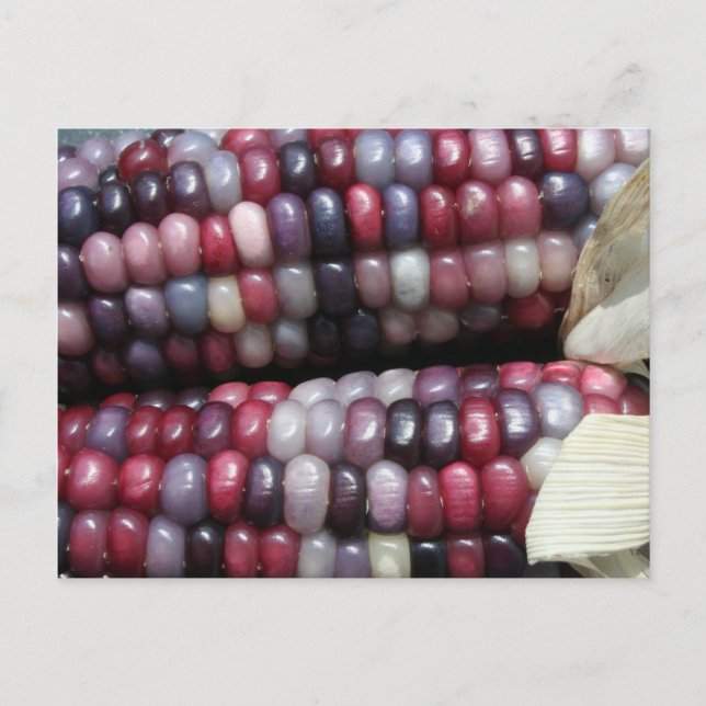 Colourful Glass Gem Corn. Postcard (Front)