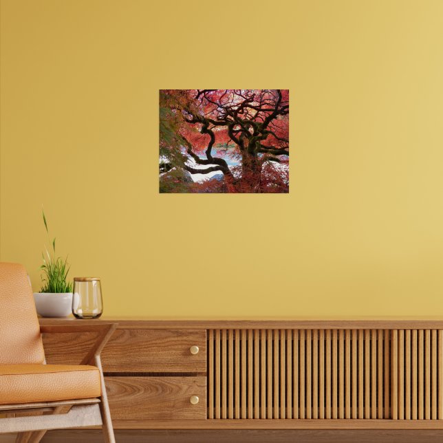 Colourful Gnarly Japanese Maple Tree Poster (Living Room 2)