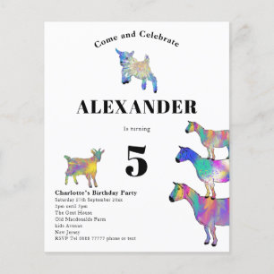 Colourful Goat Birthday Party Budget Flyer