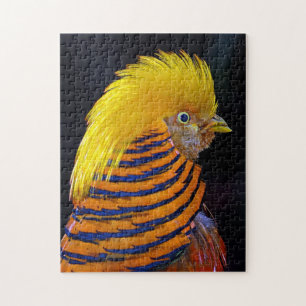 Colourful golden pheasant print puzzle