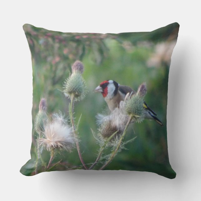 Colourful Goldfinch on Thistle Throw Pillow (Front)